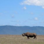 6 Tips to remember on a Tanzanian Safari